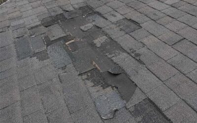 Home Insurance Premiums Are Rising. But Are the Big Insurance Companies Still Paying Claims?